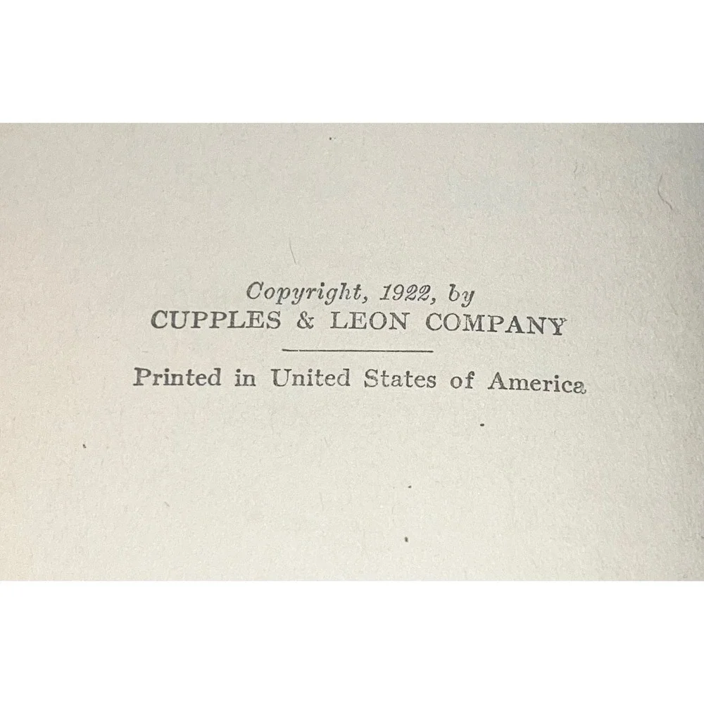 Nobodys Girl Hector Malot 1922 Antique Hardcover Book Cupples & Leon Co Vintage